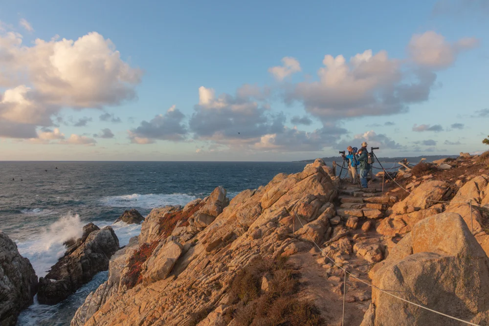 Pt. Lobos Workshop. 2018.