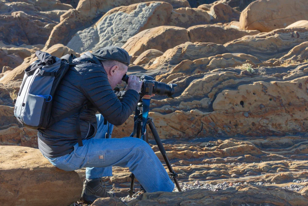 Pt. Lobos Workshop. 2018.