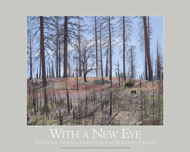 Foresta Burn Yosemite Poster