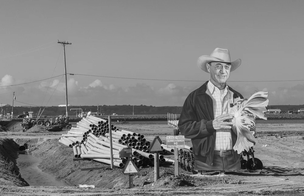 20181130_monterey_0008-BW.JPG
