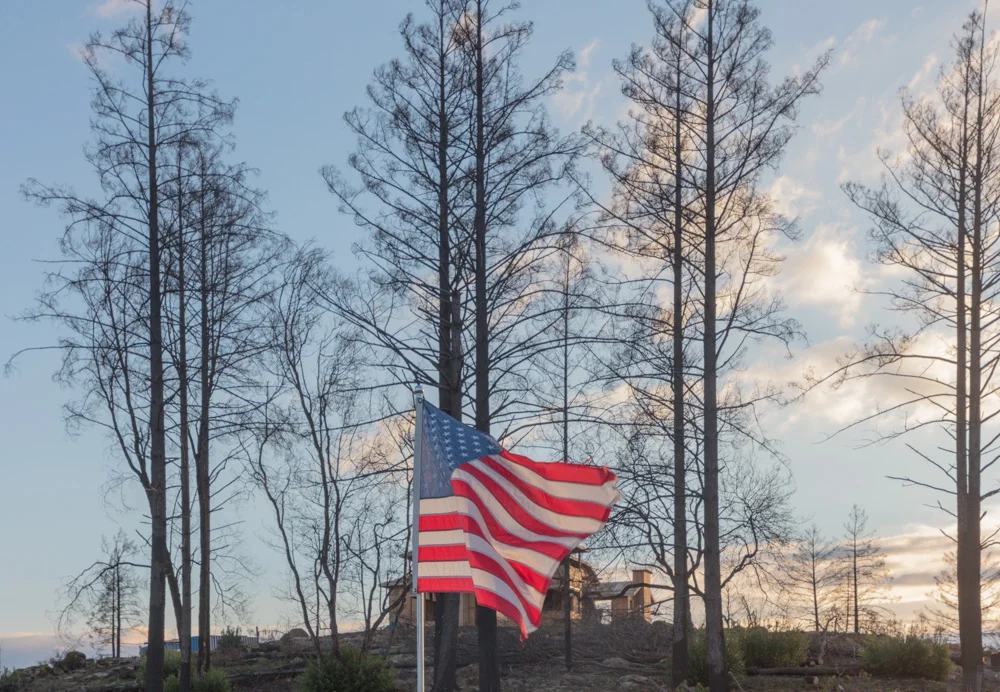 Flag and Burned Trees. Santa rosa Fire. 2019. Canon EOS 5DSr.