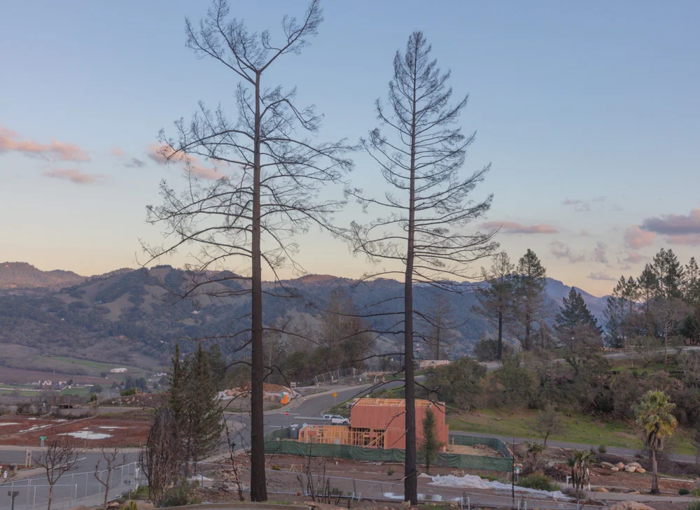 Rebuilding, one year later. Santa Rosa Fire, CA. 2019. Canon EOS 5DSr.