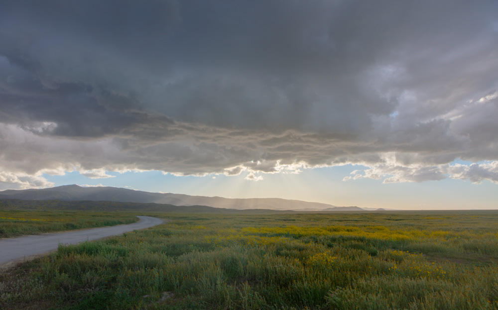 Rain Clouds and Rays at Dusk. Carrizo Plain National Monument. 2019.