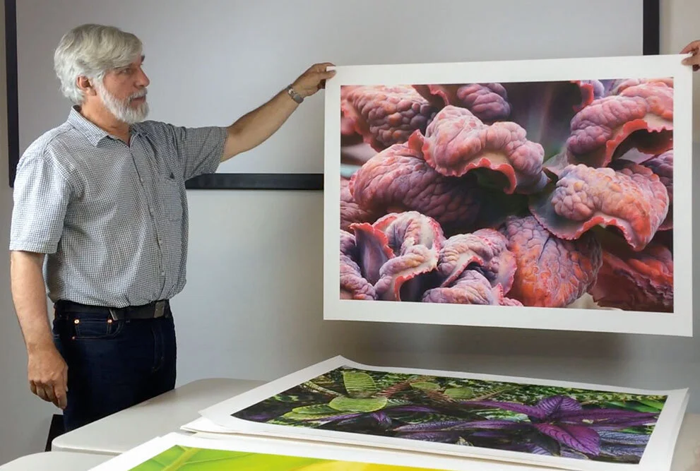 0150721-video-still-large-print.jpg