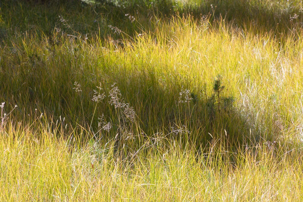 20190921_Yosemite_0045.JPG