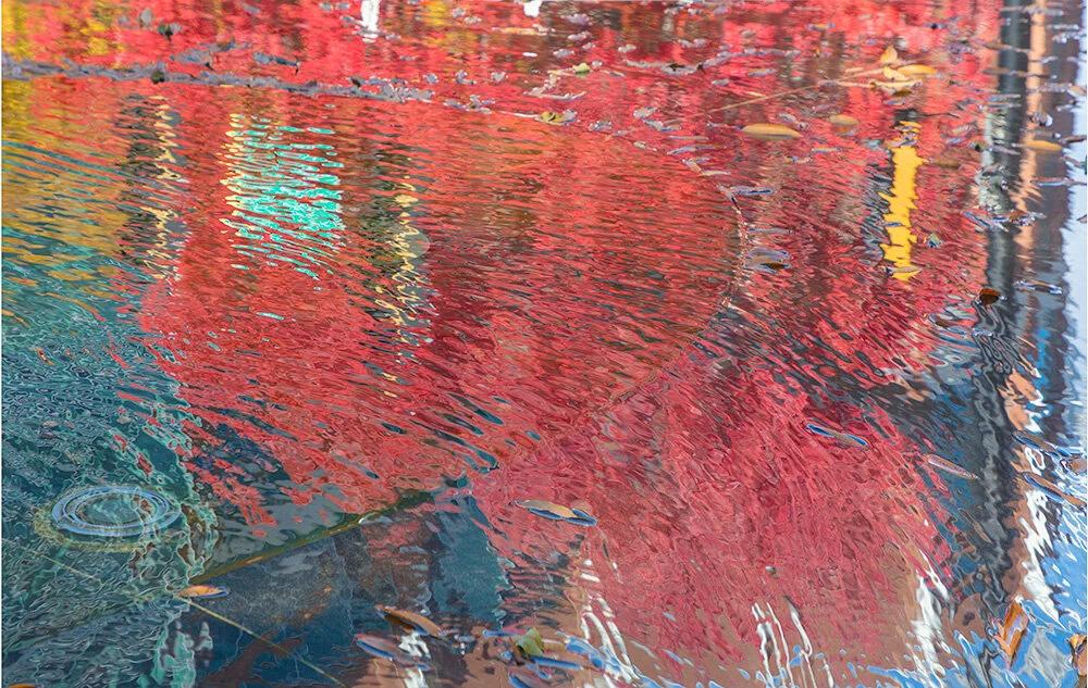 Fountain Reflections. Greenville, SC. 2019. Canon EOS 5DSr.