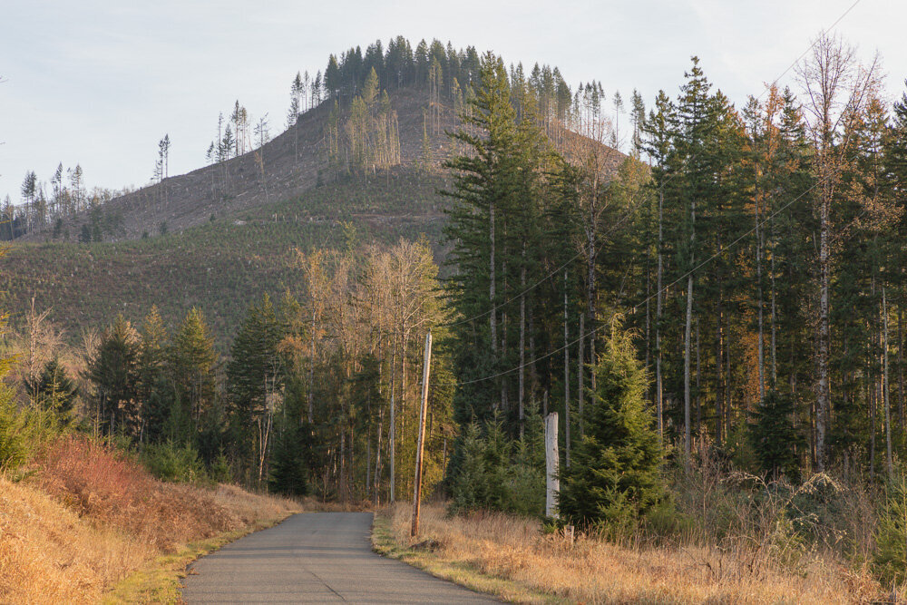 Clear Cut Hilltop near Mt. Rainier, WA 2019