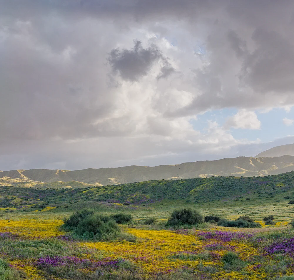 Carrizo Plain National Monument. 2019. Canon EOS 5DSr.