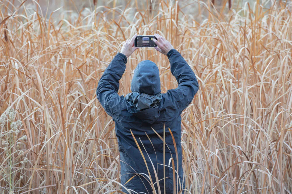 Paul in the Tules. Yosemite, CA 2019. Canon EOS 5DSr.