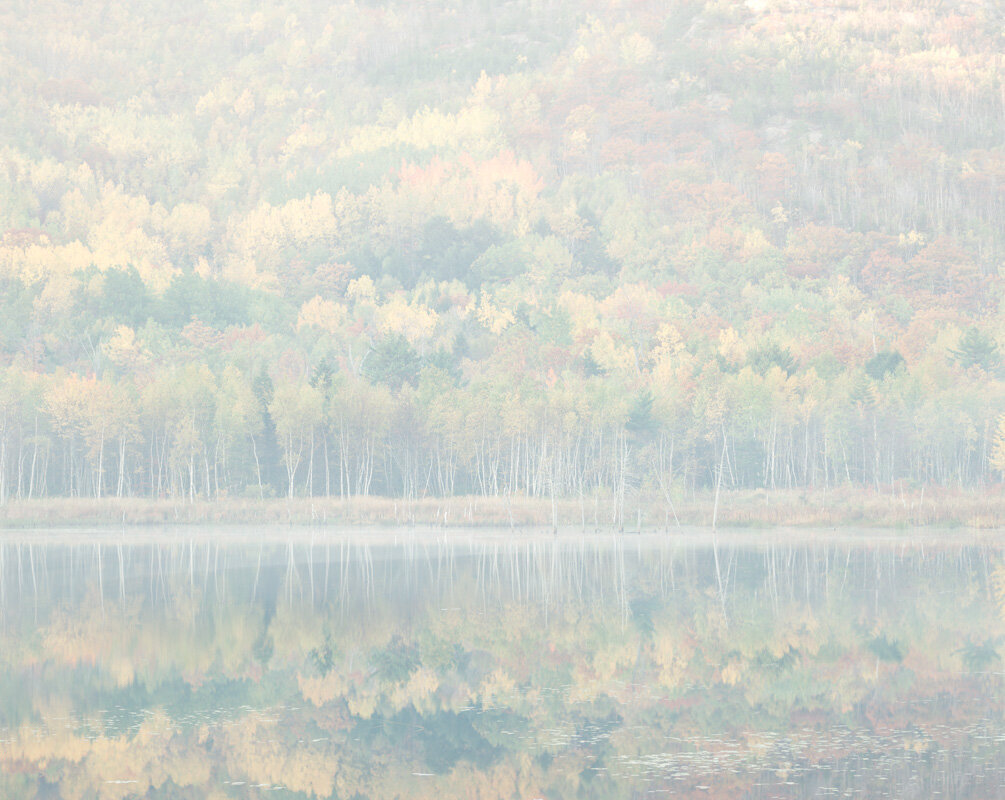 Foggy Pond. Acadia National Park. Maine