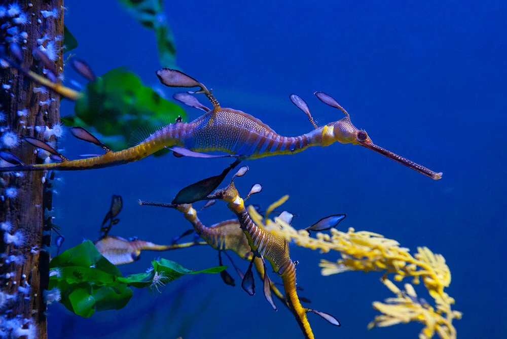 20130117_ggpark_0284-85.jpg