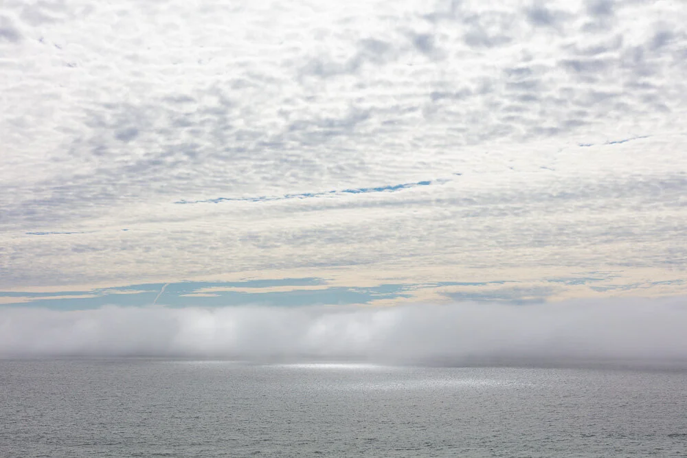 Fog Bank. Pacifica. 2020.