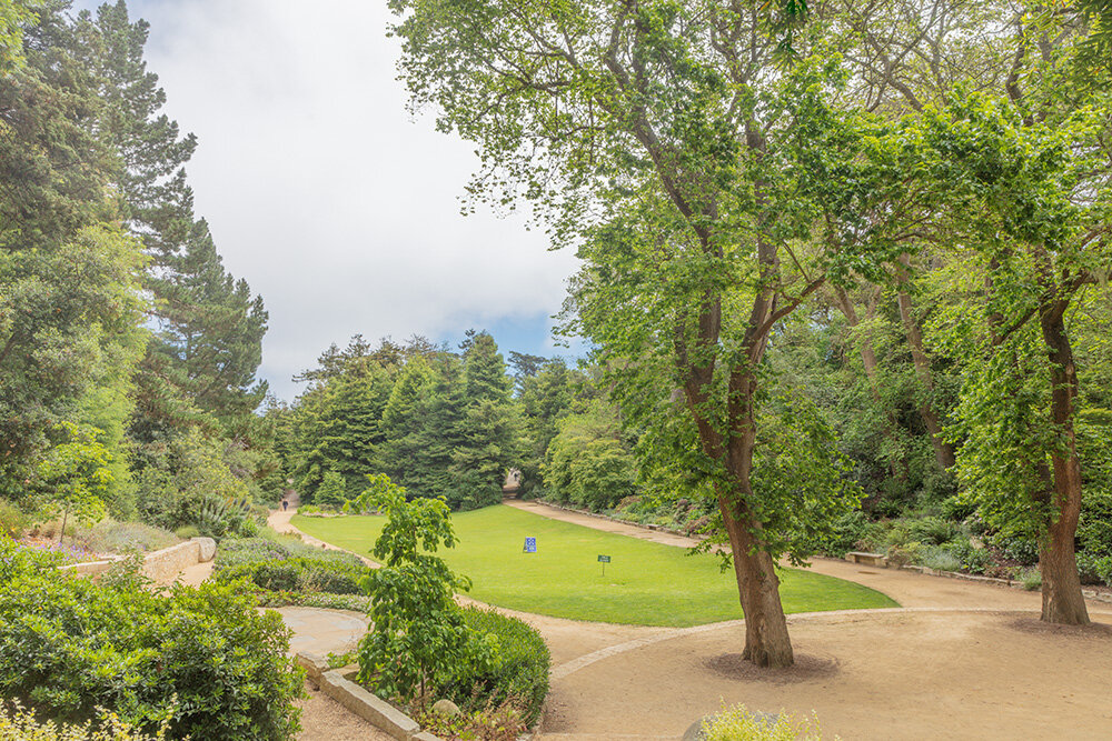 Aids Memorial Grove. Golden Gate Park. San Francisco.. 2020. Canon 5DSr.