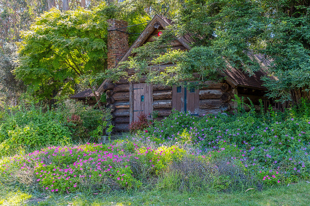 Cabin and Wildflowers. Golden Gate Park. San Francisco. 2020.