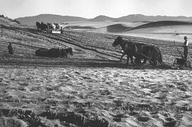 Sand Dunes in the RichmondUnfinished HistoryRichmond$plowing-dunes-with-horses.jpgGrading dunes at the edge of the Richmond District for Golden Gate Park in the 1880s.Photo: Private Collection, San Francisco, CAhttp://www.foundsf.org/index.php?title