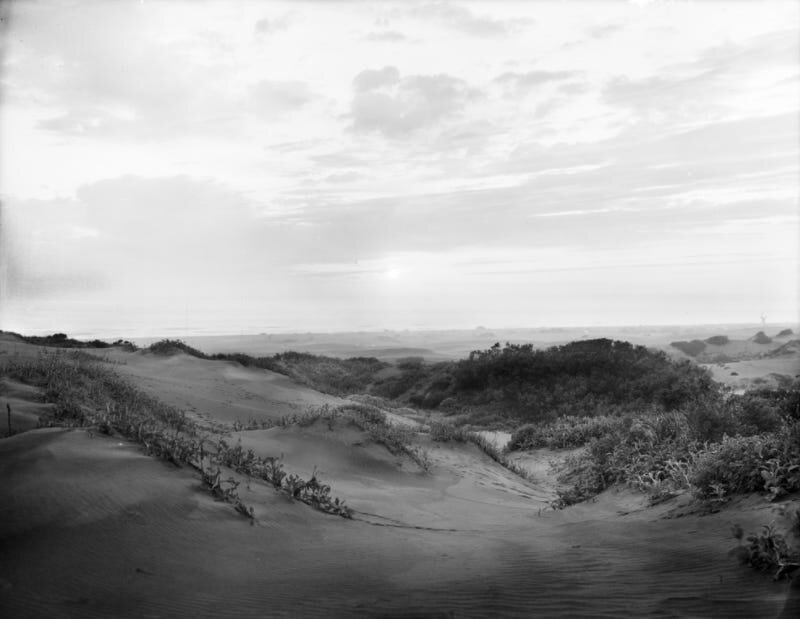 1910 photo of a sand dune in Golden Gate Park,