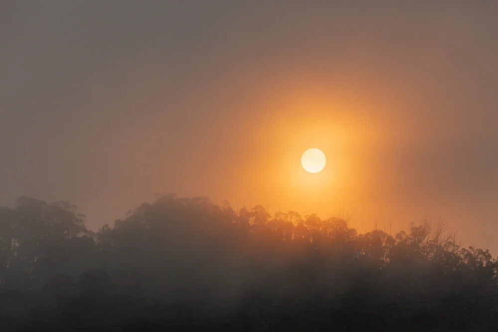 Early Sun. Going into the Studio. 2020. Canon 5DSr.
