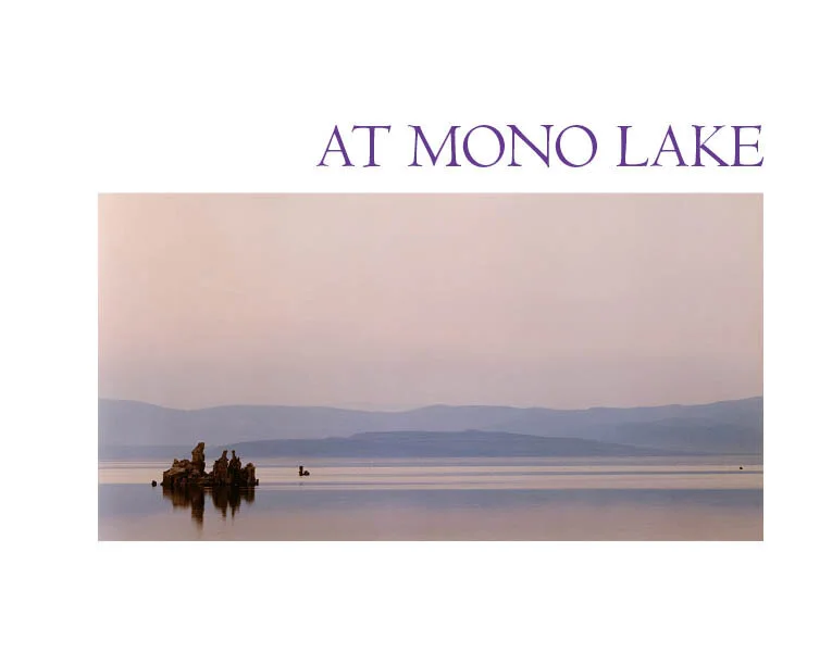 The Projects Sessions: At Mono Lake. A Virtual Lecture. 