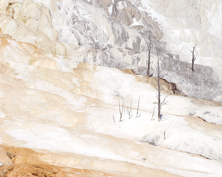 Travertine. Yellowstone National Park. 1995 by Stephen Johnson