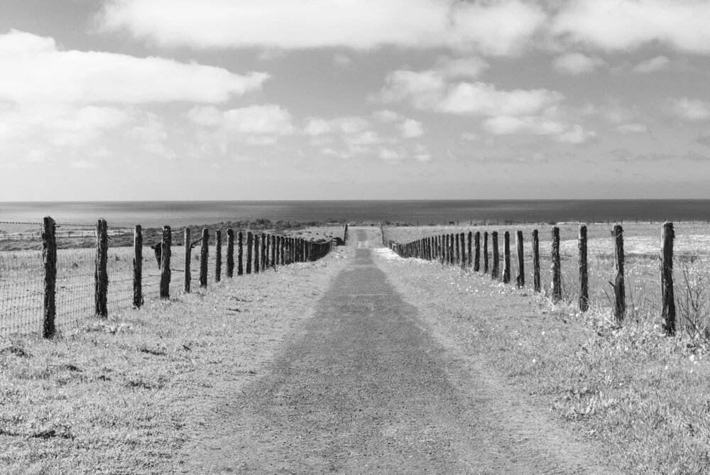 California Coastal Trail Access Road. 2021. Canon R5.
