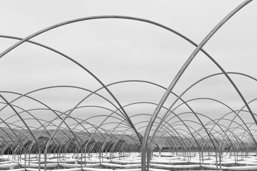 Shade Poles over Strawberry Field. Guadalupe, CA. 2021. Canon R5