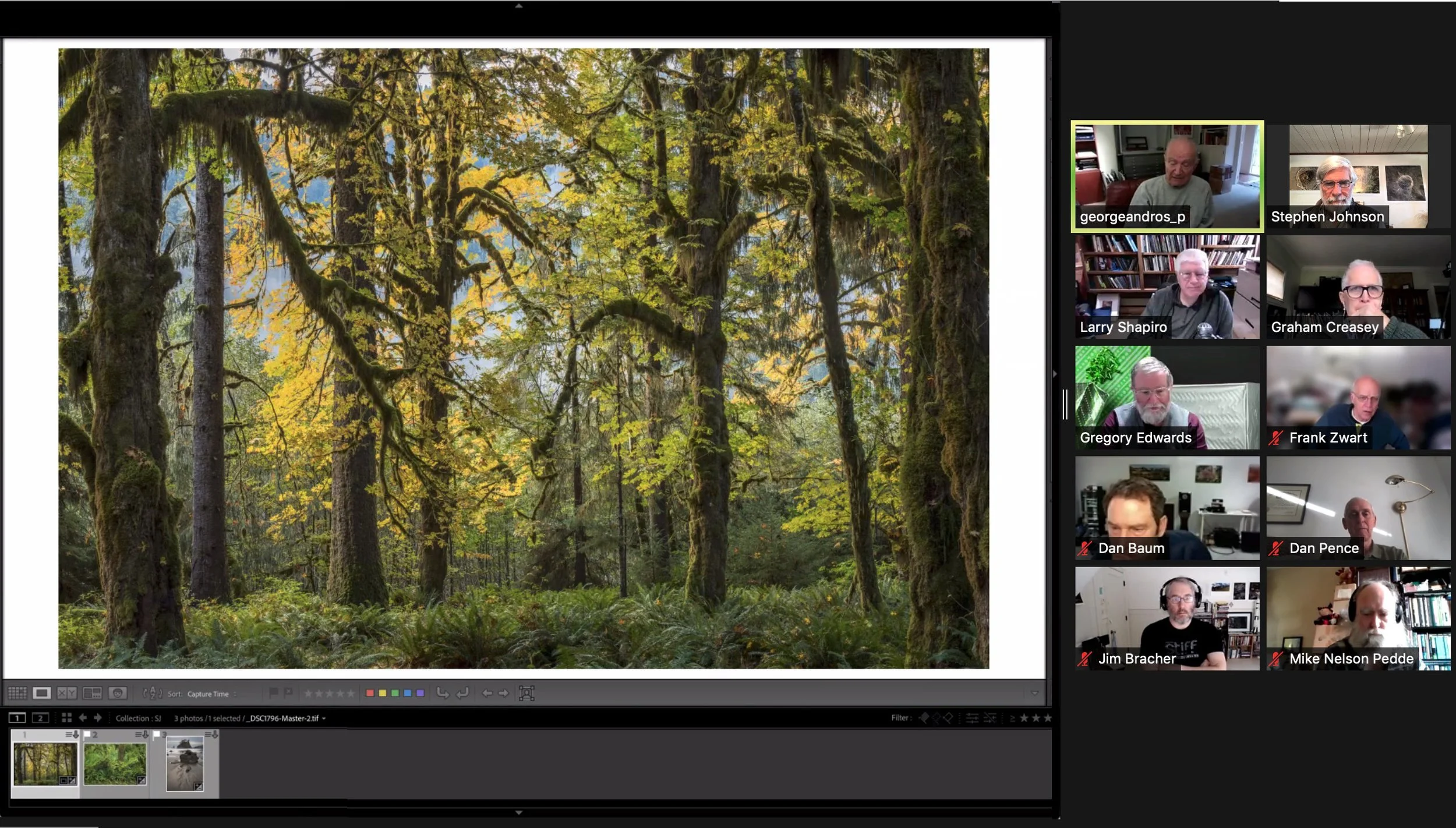 Virtual Photography Critique Sessions with Stephen Johnson