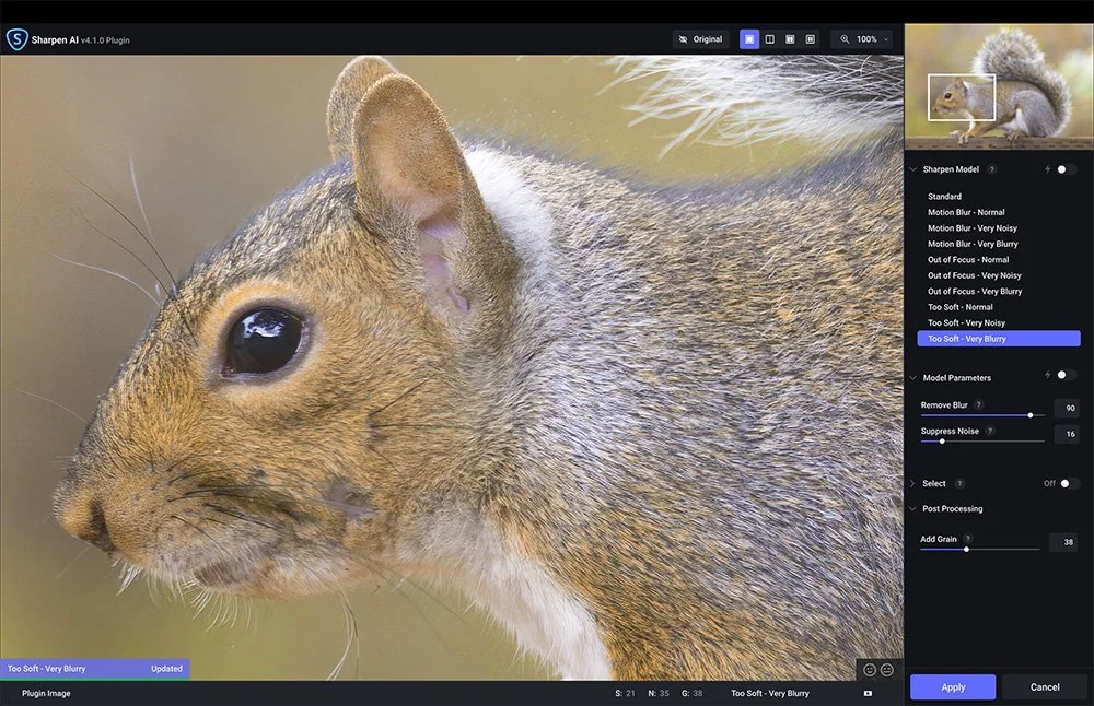 Digital Photo "Sharpening"  Overview. Virtual Lecture