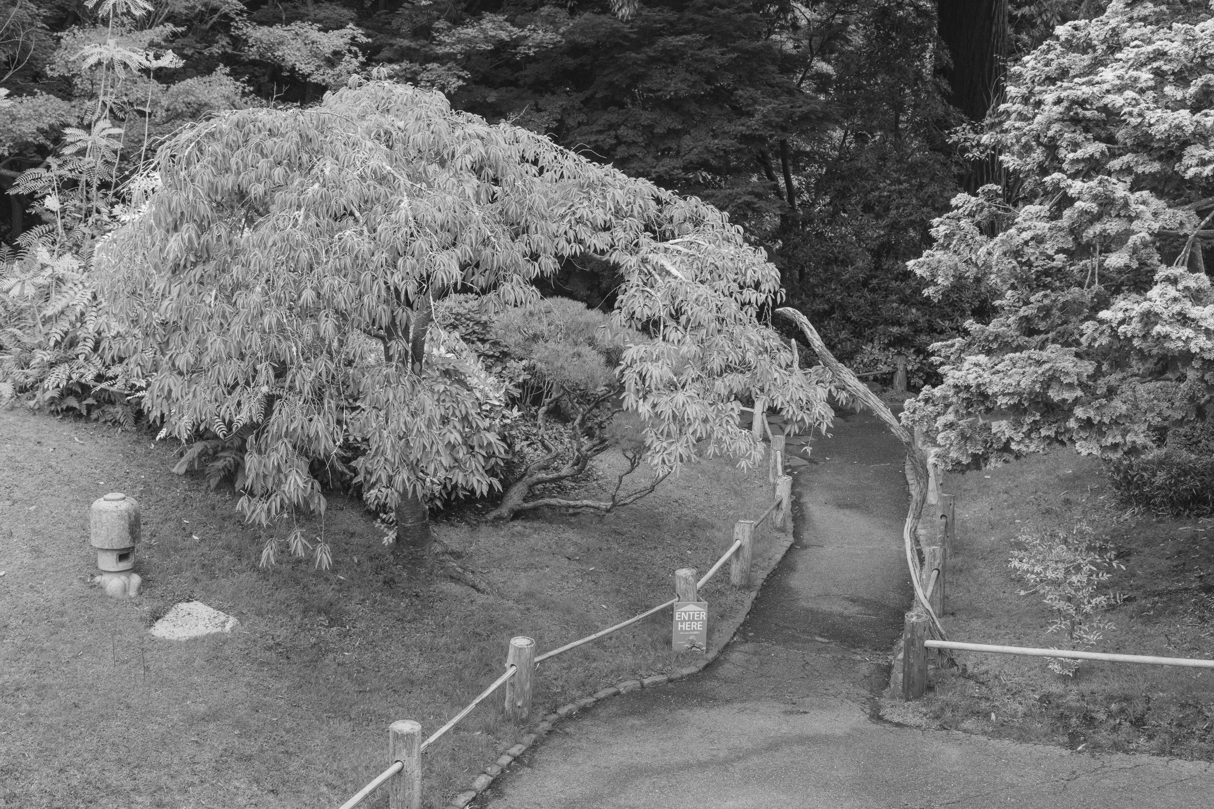  from the project "Urban Eden: Golden Gate Park"http://www.sjphoto.com/copyright.html 