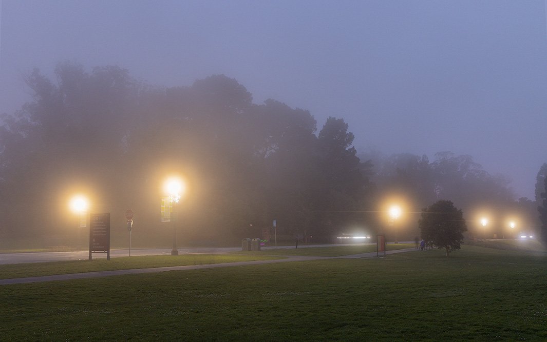 JFK Drive at Dusk. Golden Gate Park. San Francisco, CA