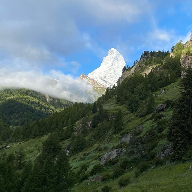 so good to see you back🤗#morning #20thjune #swissmountains #holiday #inswitzerland #coeurdesalpes #zermattbergbahnen #zermatt #happyday #sunshine #welcomeback #welcomehome