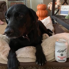 Boone%27s+puppper+Chaco.jpg