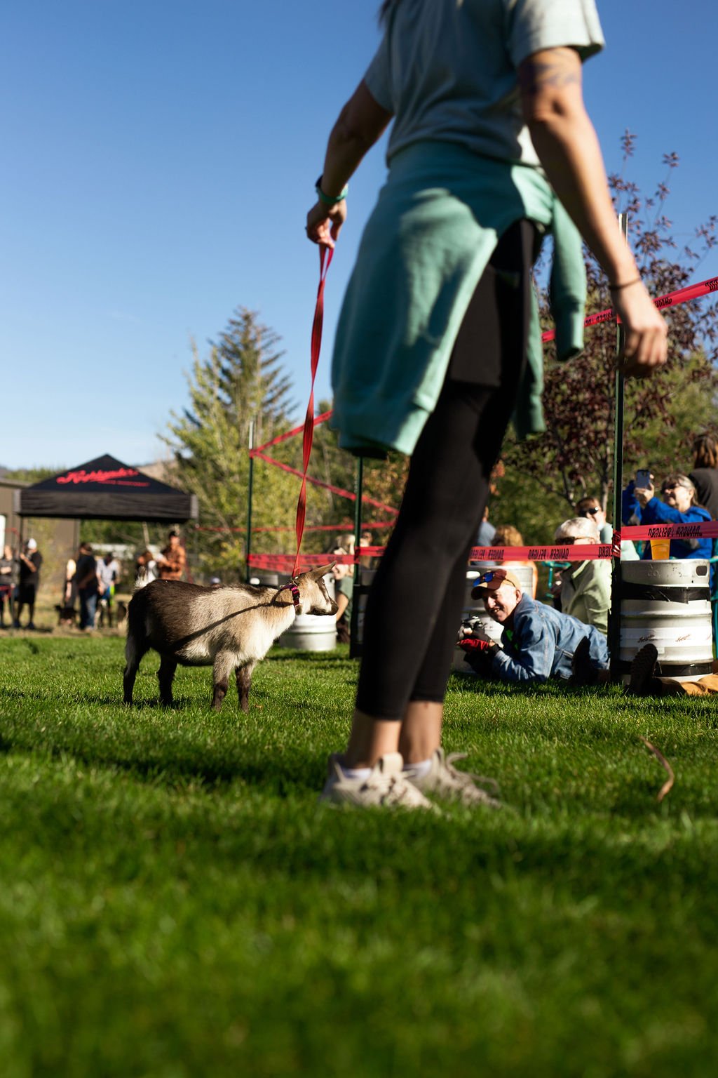 Goat-races-24.jpg