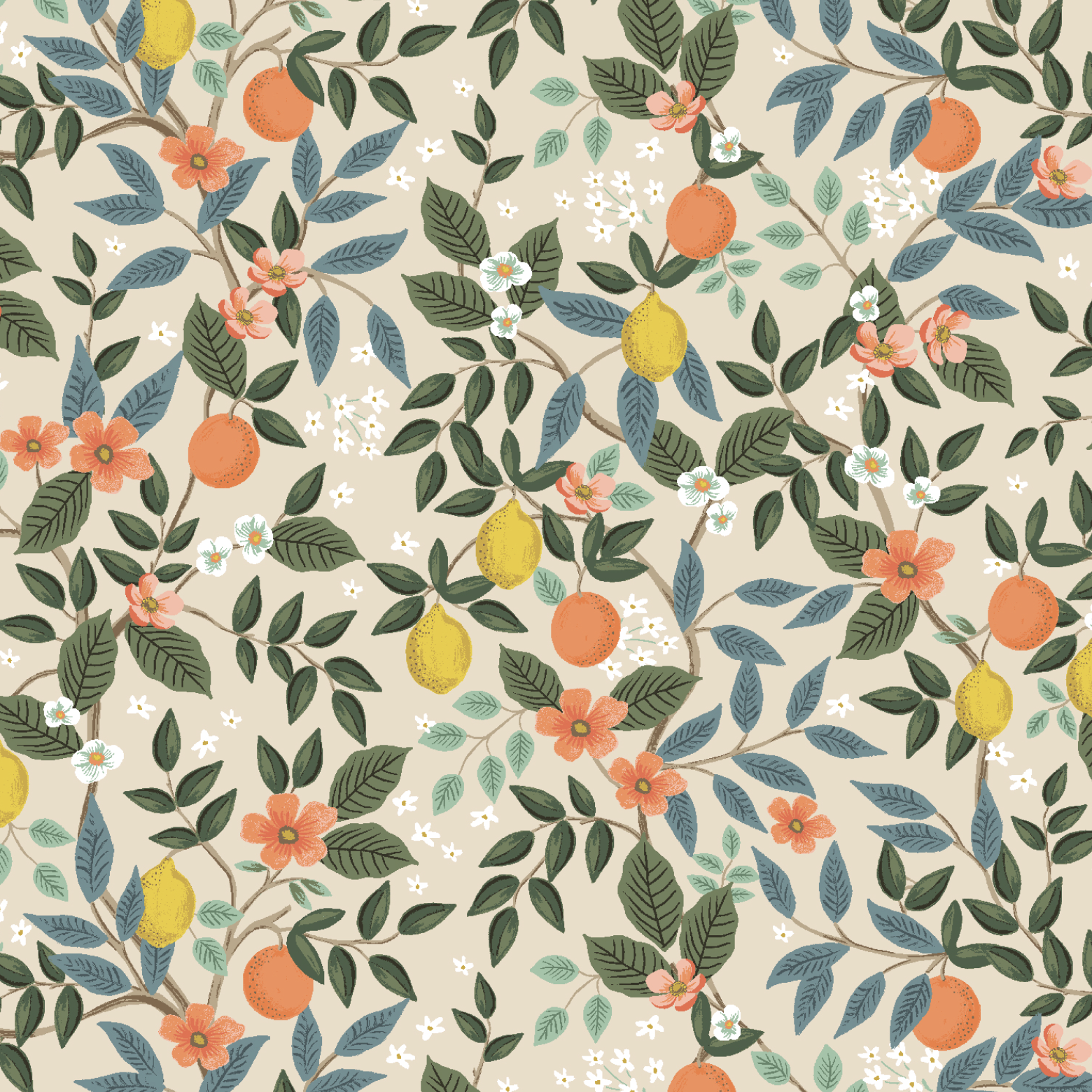 Screenshot 2025-11-22 at 2.15.48 PM.png