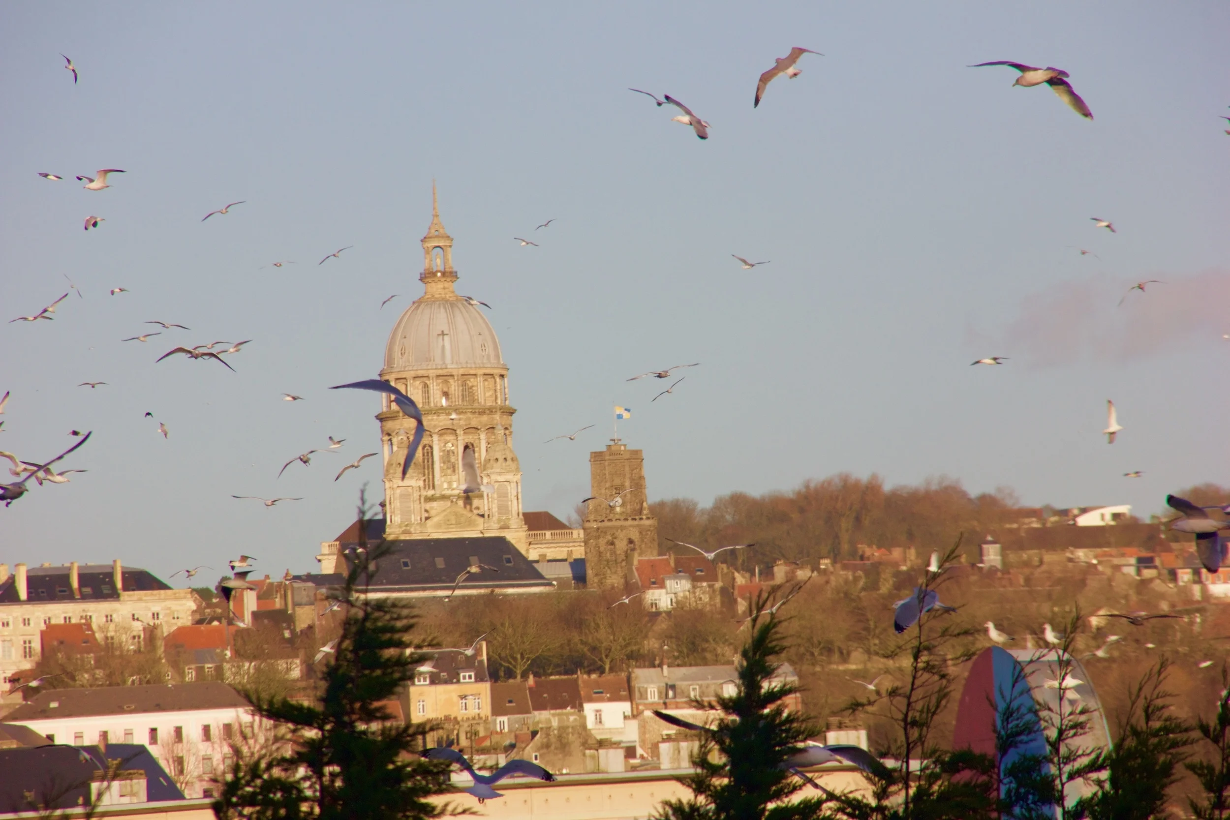 the bells of notre Dame