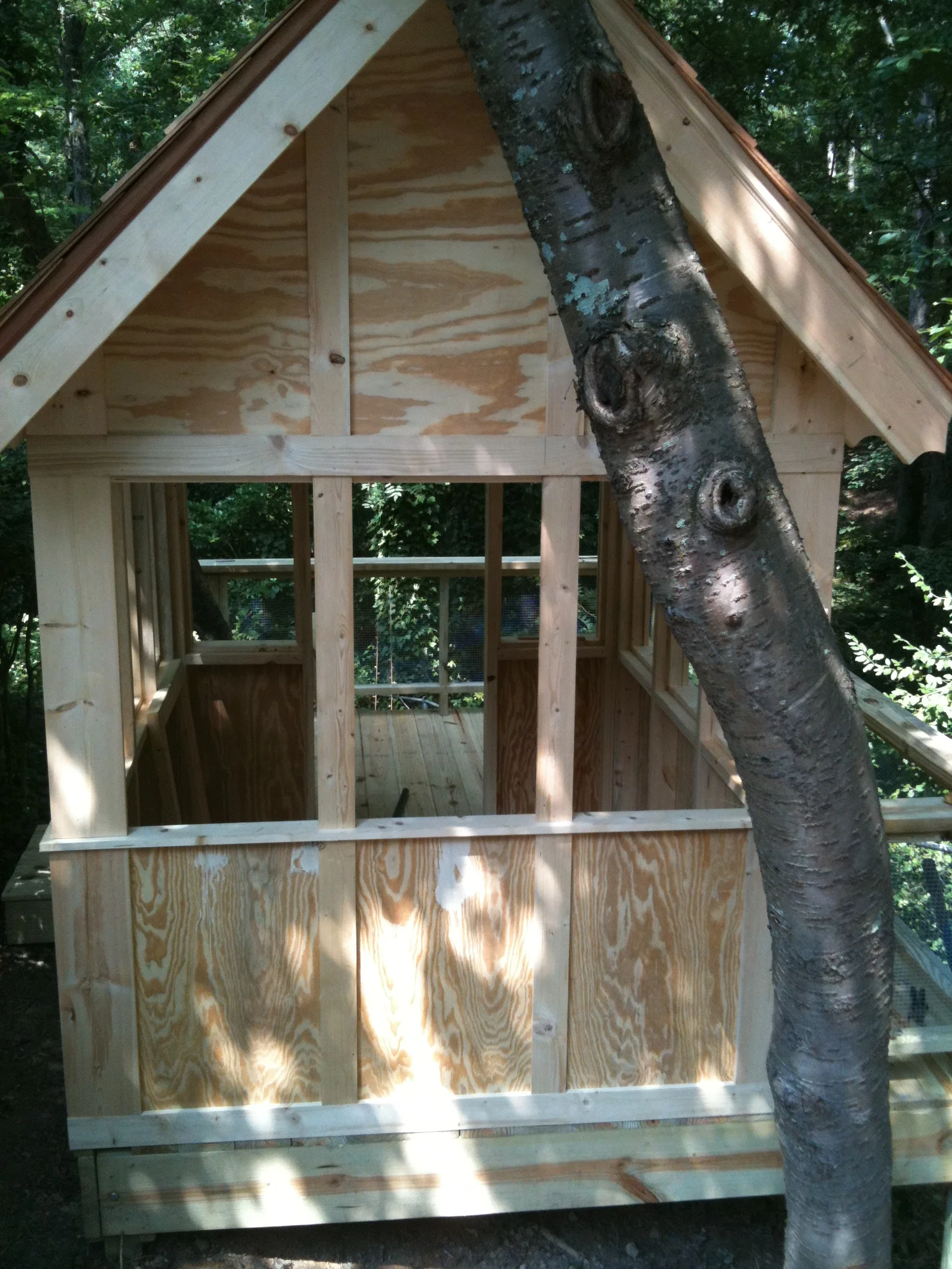 Tree House 001.jpg