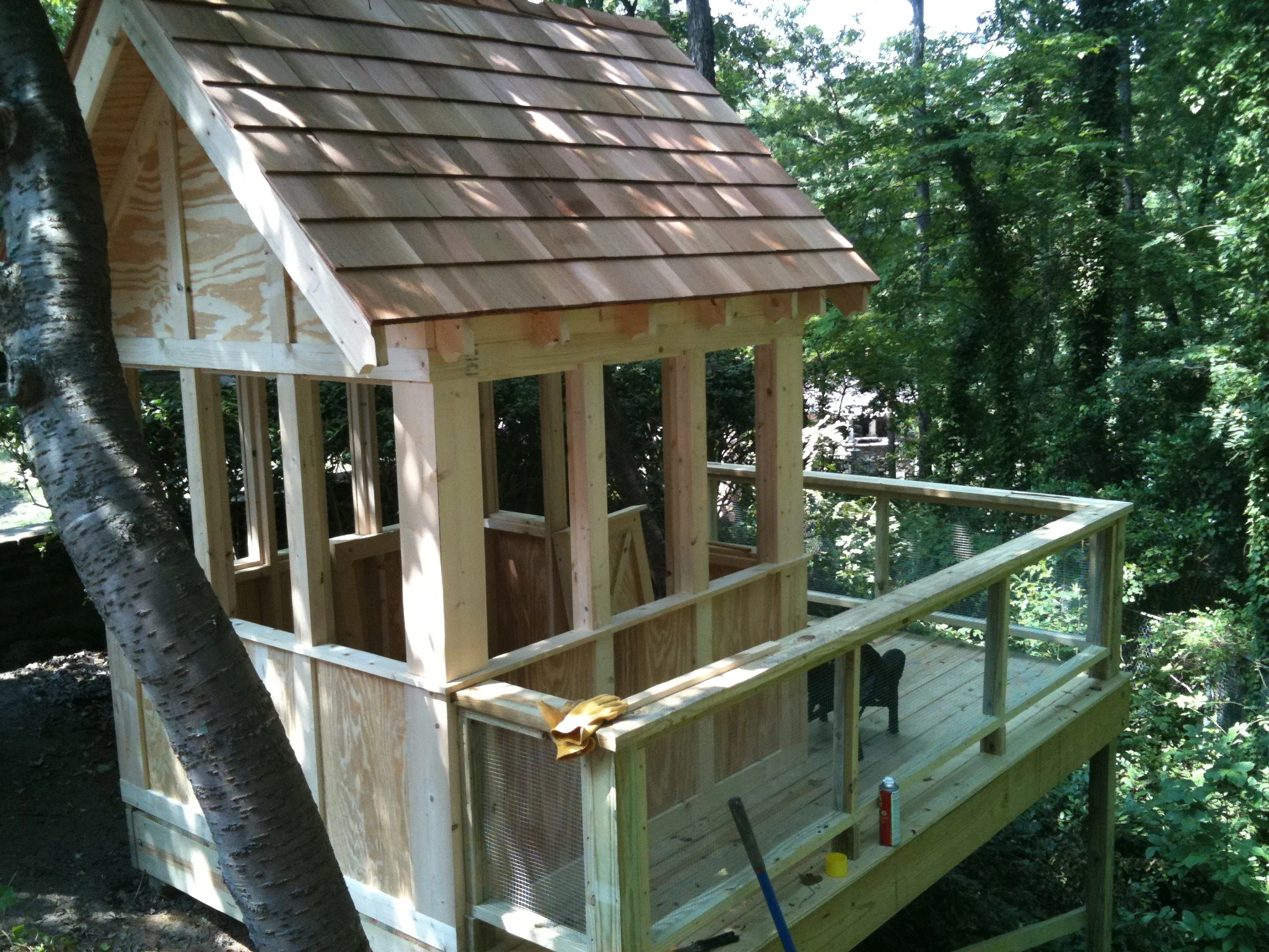 Tree House 002.jpg