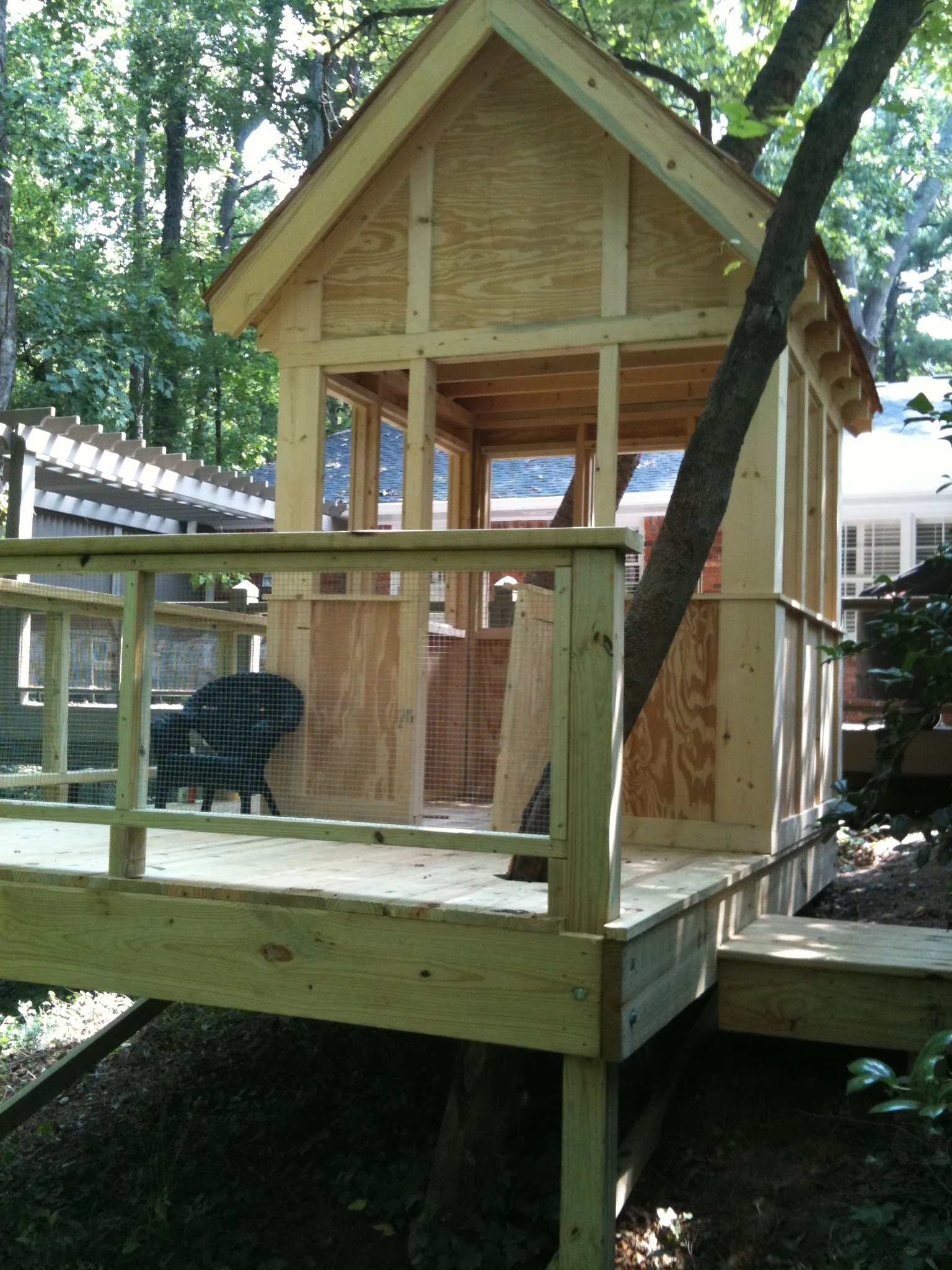 Tree House 008.jpg