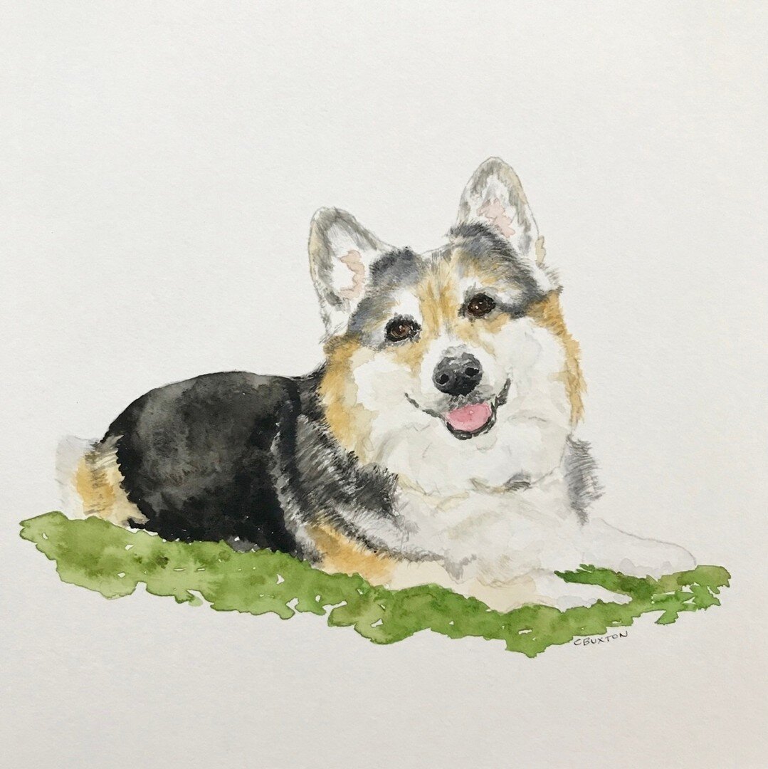 In honor of the Queen&rsquo;s Platinum Jubilee, I present to you her favorite breed. The ever noble Corgi, always at her majesty&rsquo;s side for the last 70 years of service. Wishing all who are celebrating across the pond a lively week! 🐾