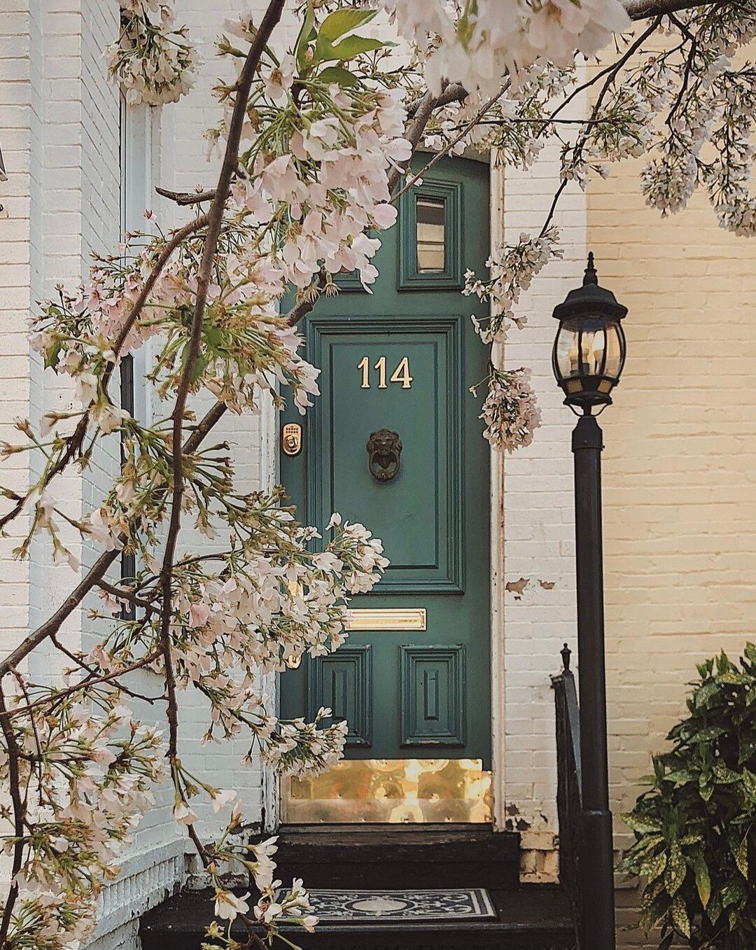 It&rsquo;s a beautiful day in the neighborhood! I&rsquo;d be honored to help you find your dream home in Old Town, @thepeelegroup is always seeking out exceptional listings for our clients. (📷 by @pauline_le_higgins)