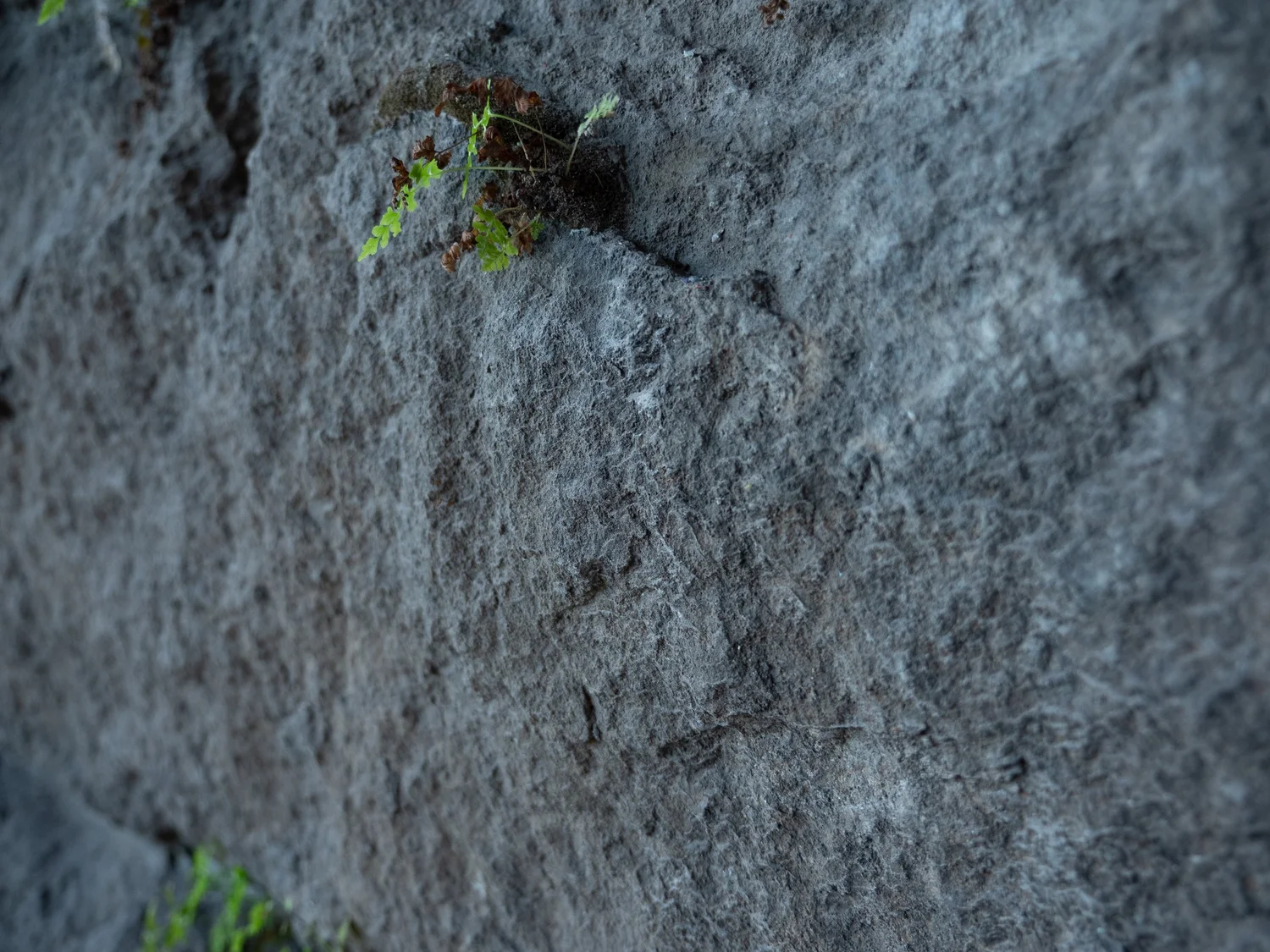 Iron Works Church Sermons