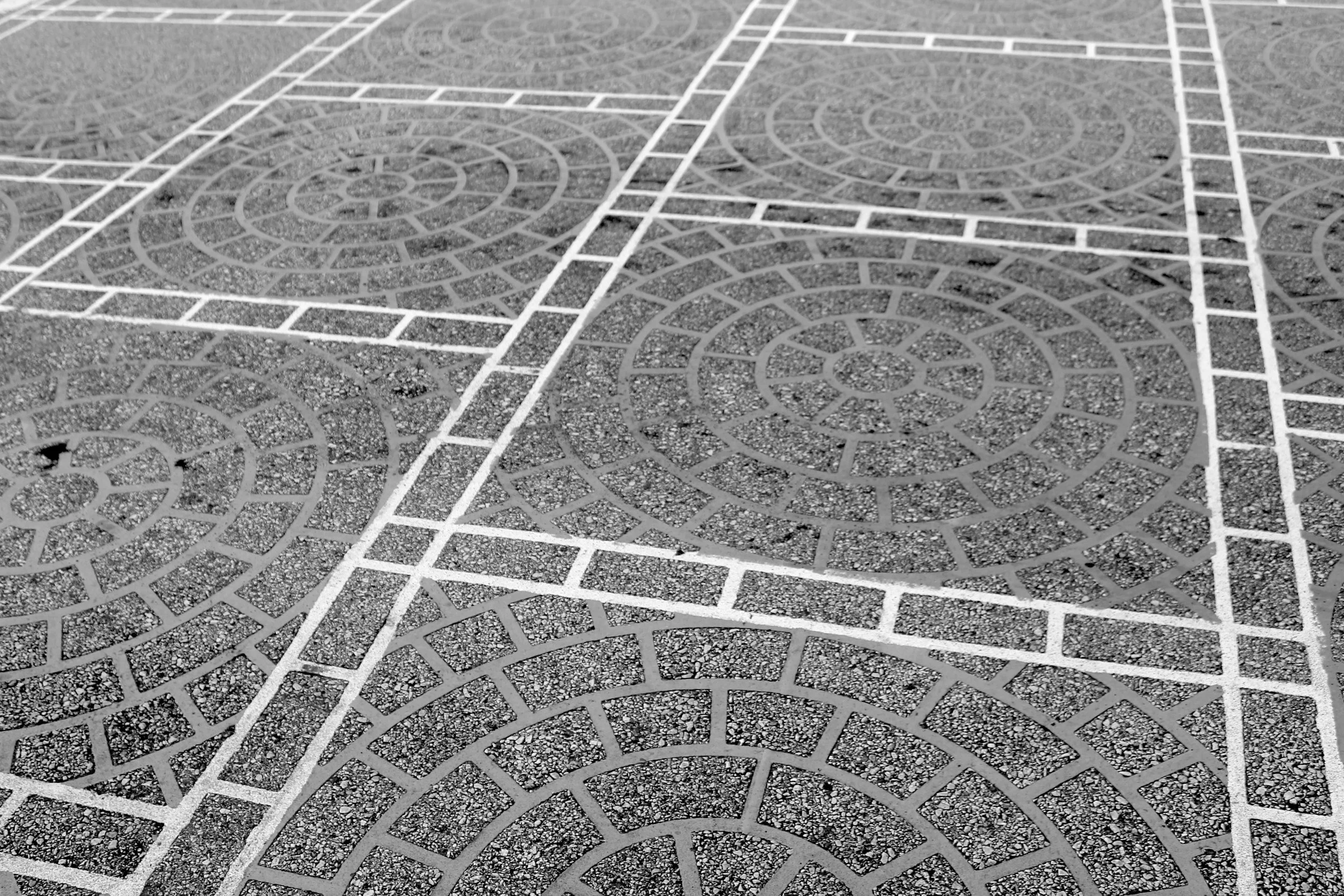 Life to our Mortal Bodies