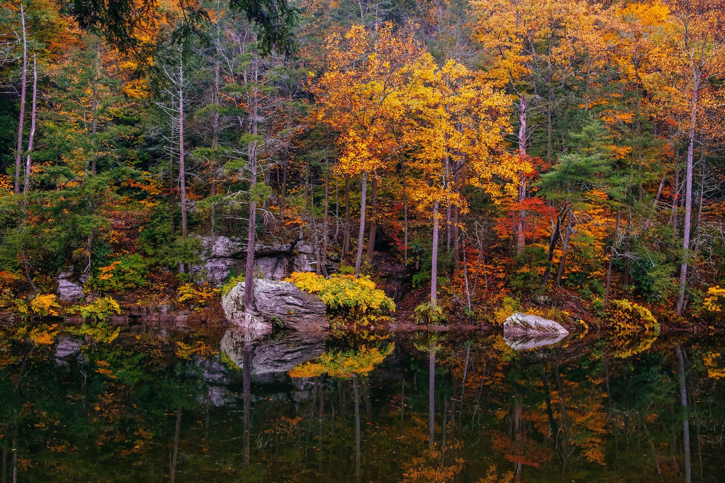 The Church on Mission