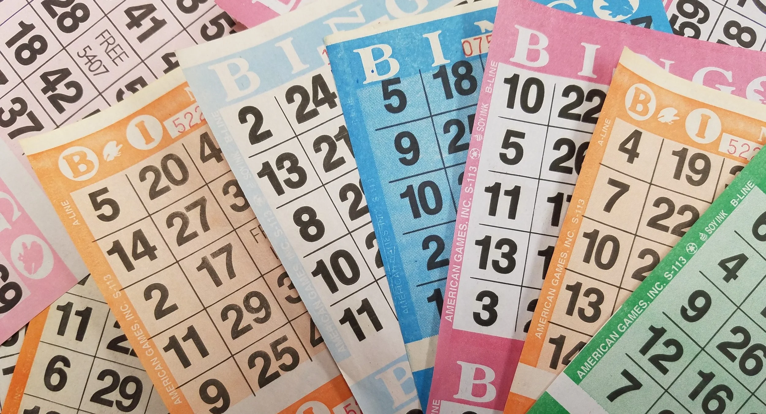 Bingo Night Fundraiser