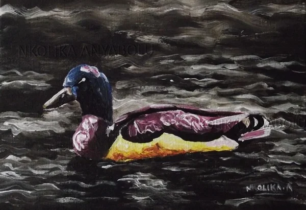 Mallard Duck at Poole Park