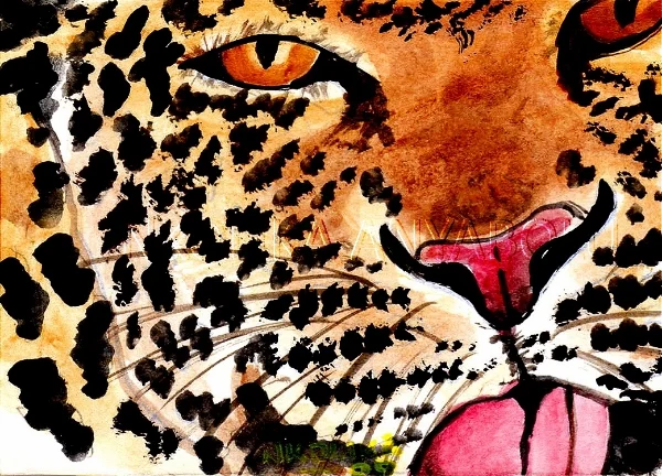 Leopard No 3