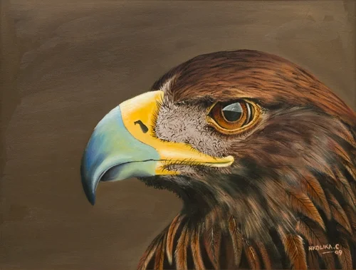 Portrait of a Golden Eagel