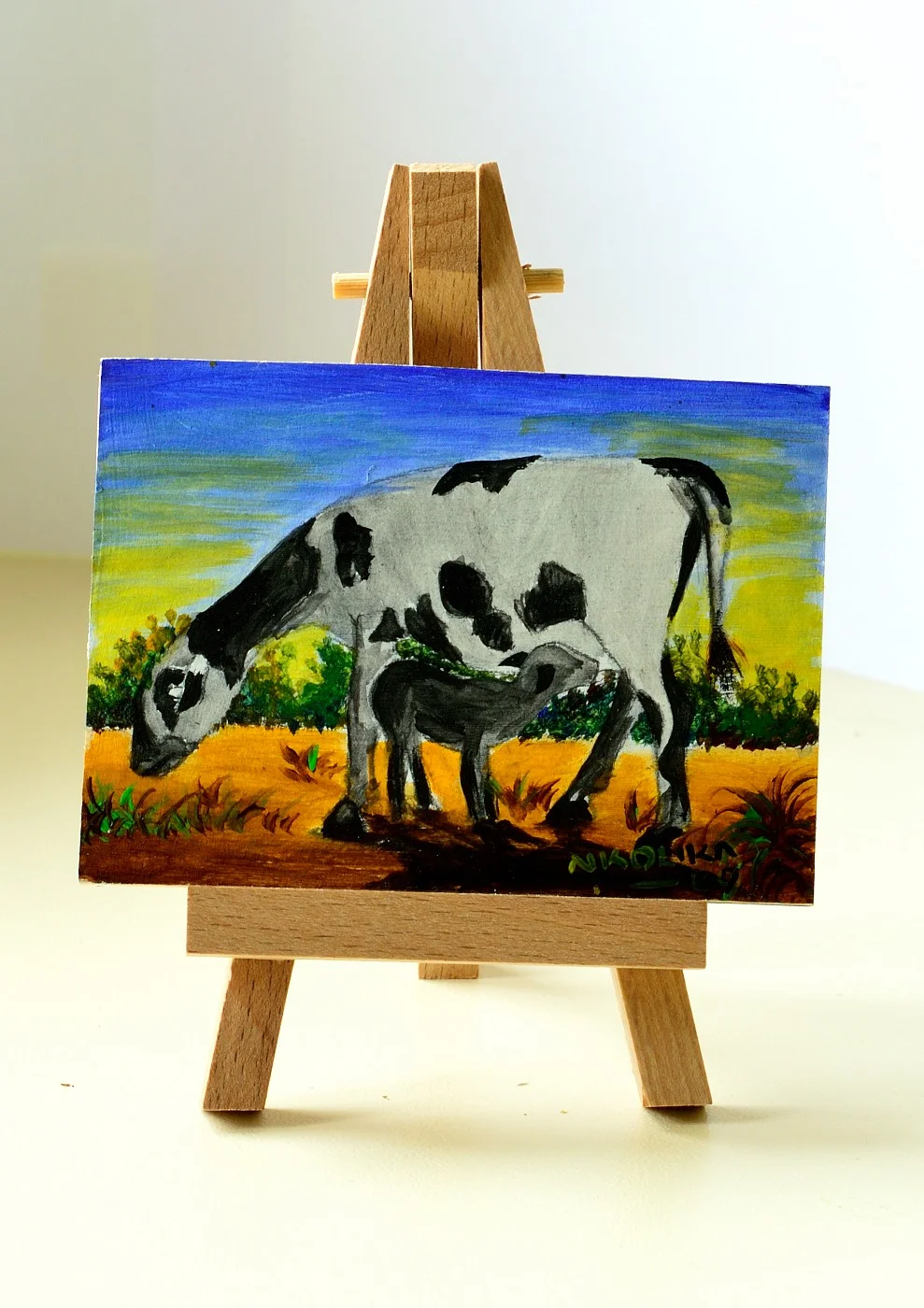 The Beauty Of Being A Woman