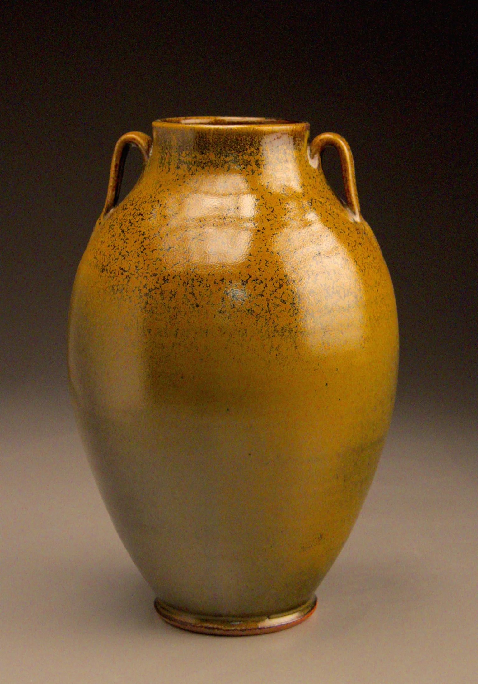 Tang Vase in frogskin 12%22H.jpg