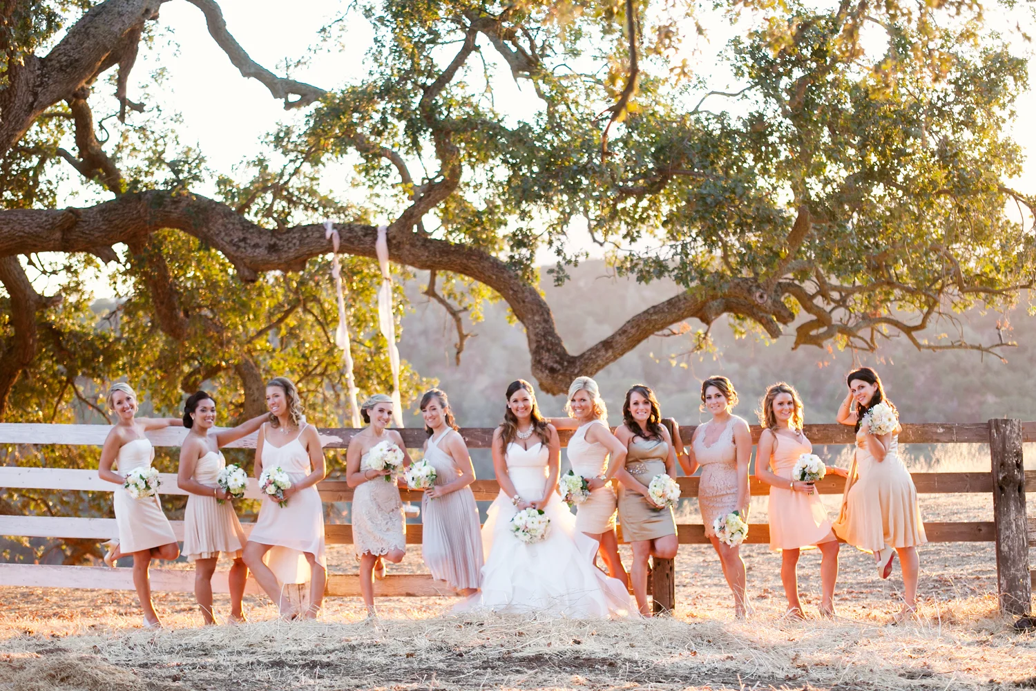 Romantic Diablo Valley Ranch DIY Tree Swing Wedding. Photographed by Rob Skog