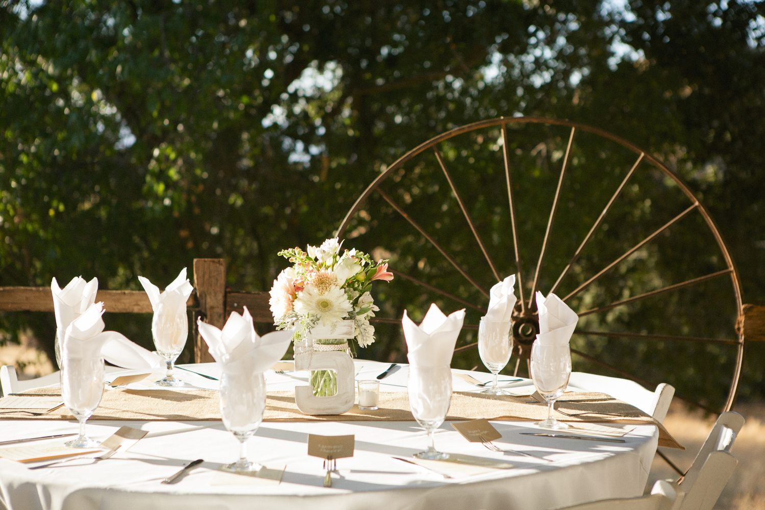 Romantic Diablo Valley Ranch DIY Tree Swing Wedding. Photographed by Rob Skog
